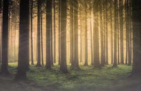 Video Video abspielen