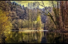 Video Video abspielen