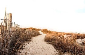 Video Video abspielen